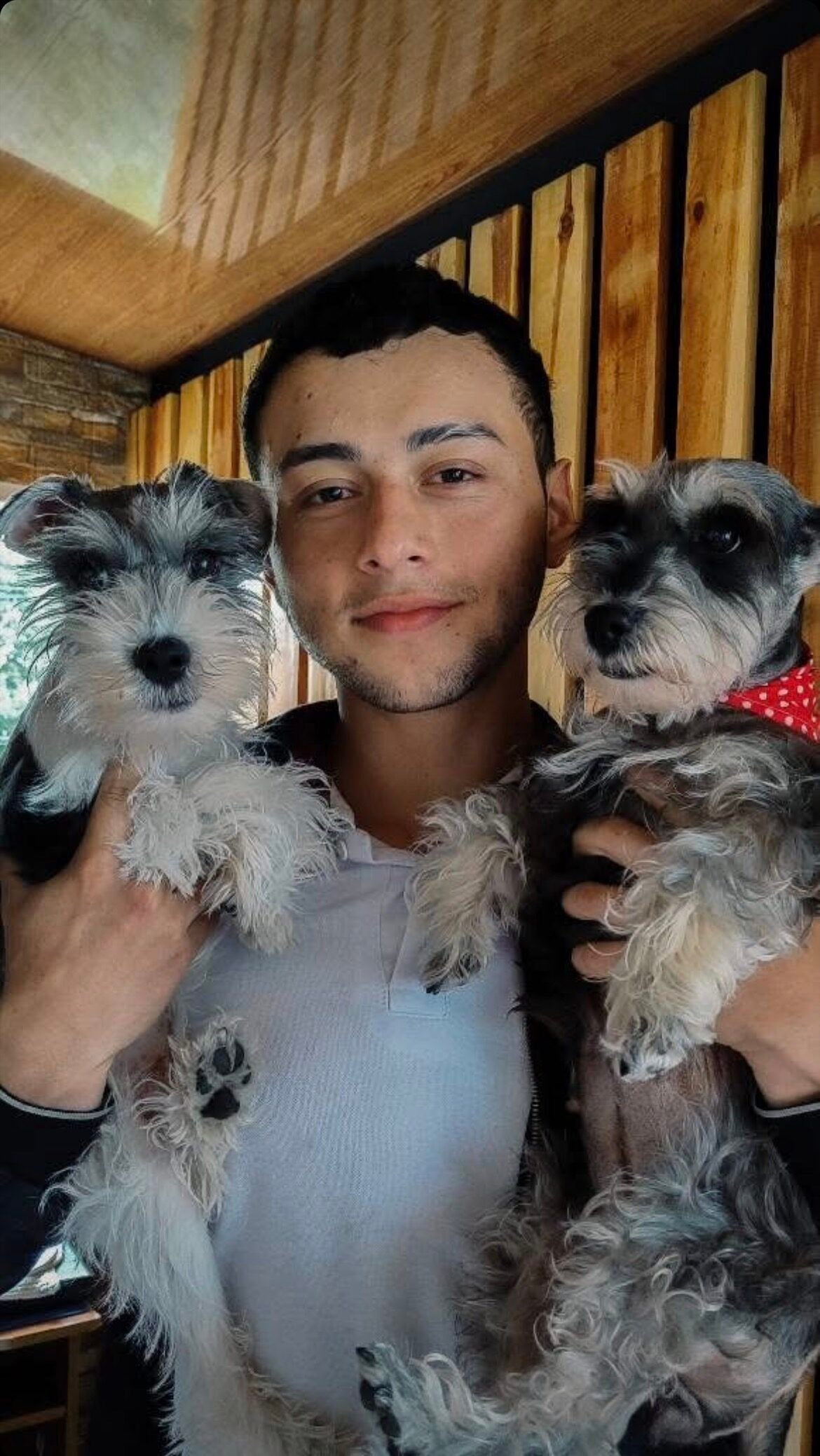 Johan Hernández 